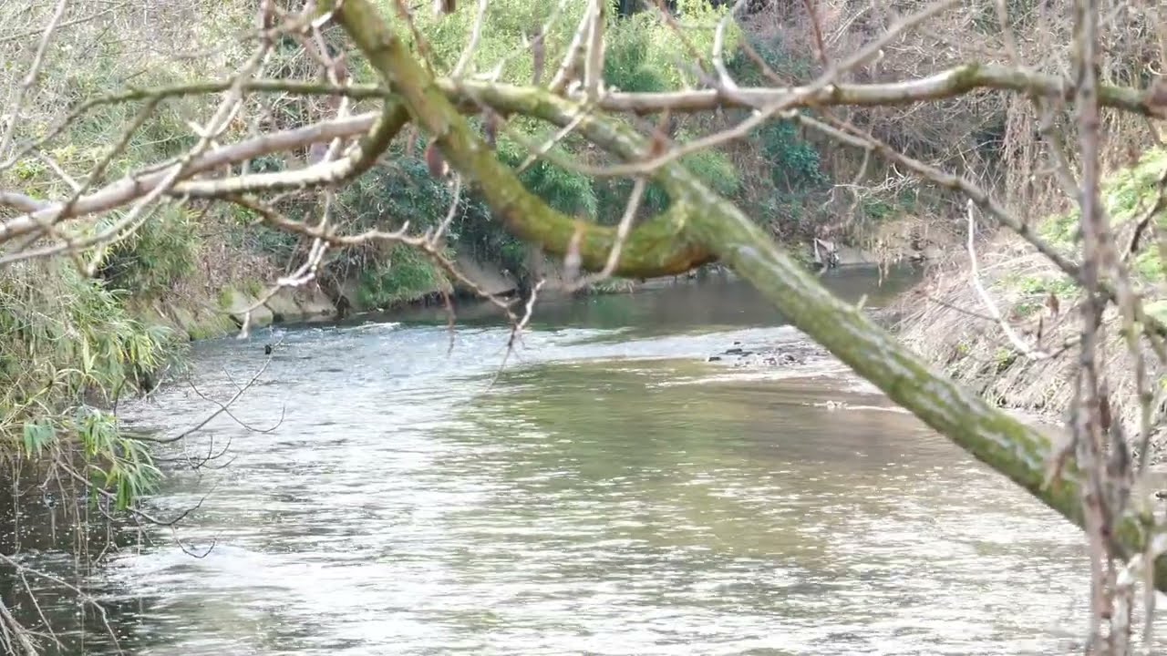 TROTA FIUME 2026 - Introduzione allo spot 