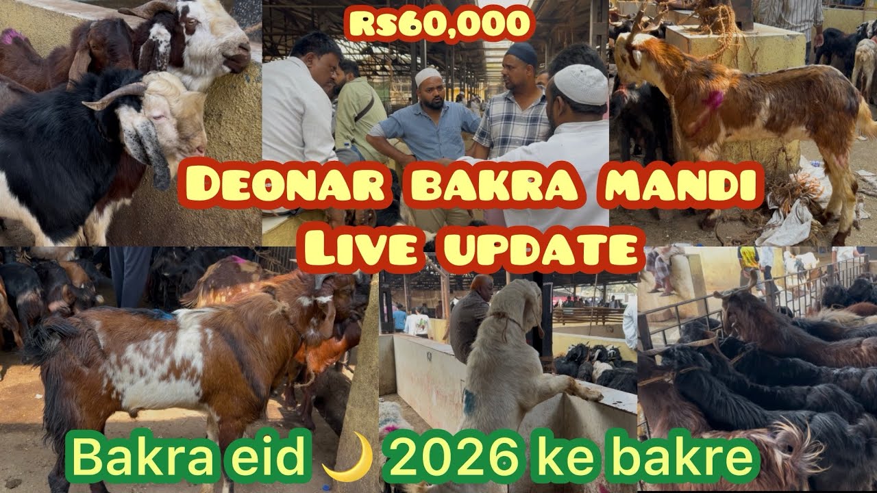 Deonar bakra mandi live update |Asia biggest goat 🐐 market |Rizwan vlogs203 #deonarbakramandi #viral