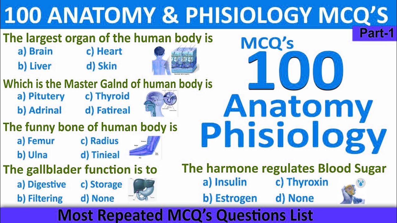 HAP II Human Anatomy & Physiology Questions and Answers Anatomy and Physiology MCQ's @PharmachemHub