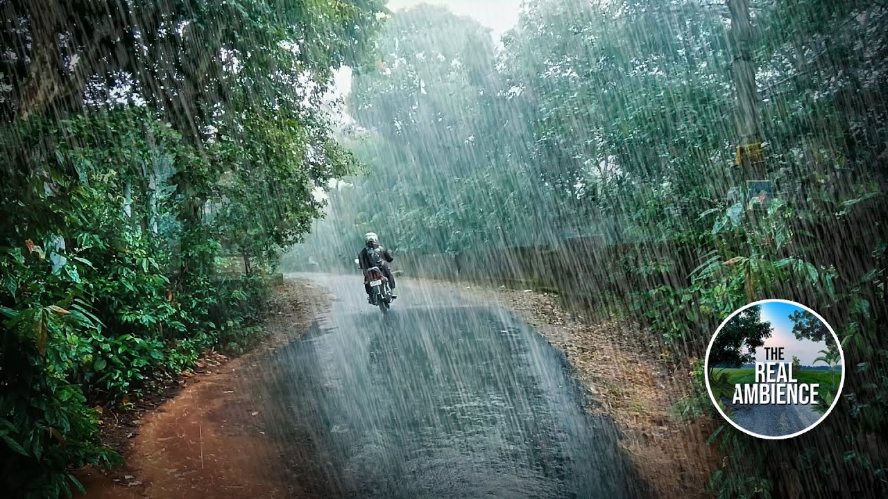 Super heavy rain I lets enjoy the ambience of rain | virtual walk | #rainasmr #heavyrain  #rainwalk
