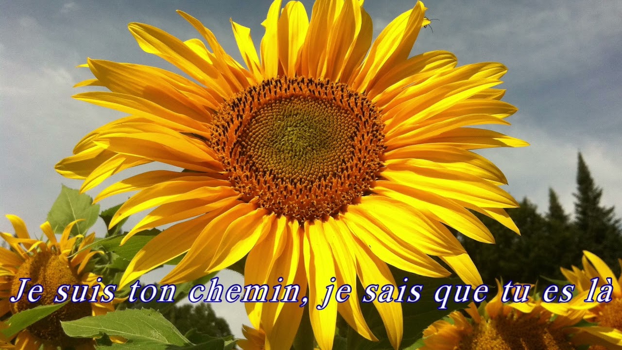 Chante avec moi (Gospel) - Guillaume Abel