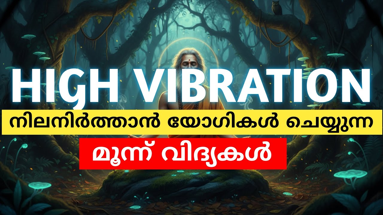 ഏതൊരു വ്യക്തിയുടെയും വൈബ്രേഷൻ ഉയർത്താൻ ഇതിന് സാധിക്കും 