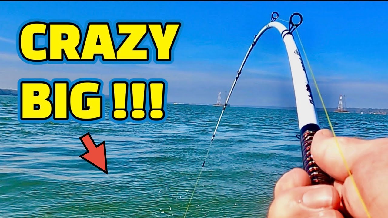 (EXTREMELY DANGEROUS) BIG RISK to CATCH this FISH !!!