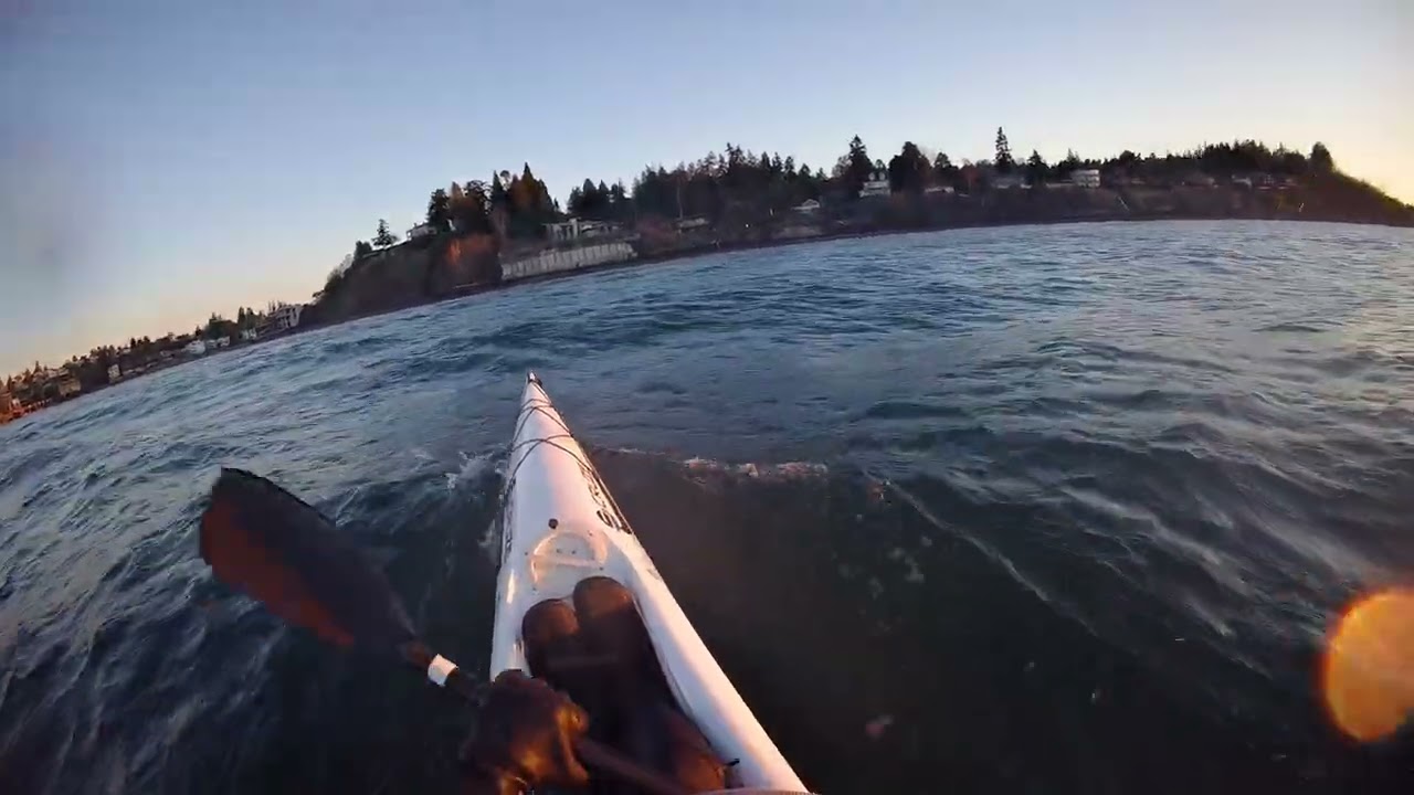Surf ski downwinding in Seattle on Shilshole Bay