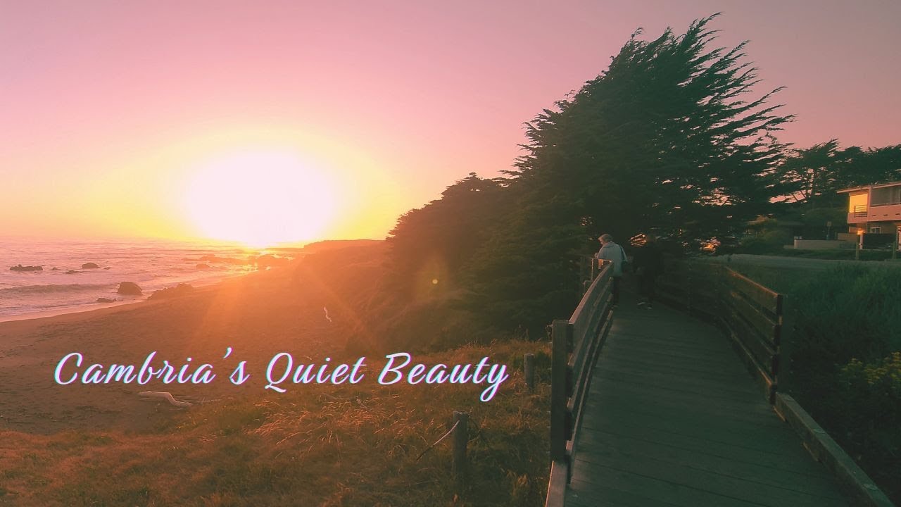 Whispers of the Coast:  A Day in Cambria
