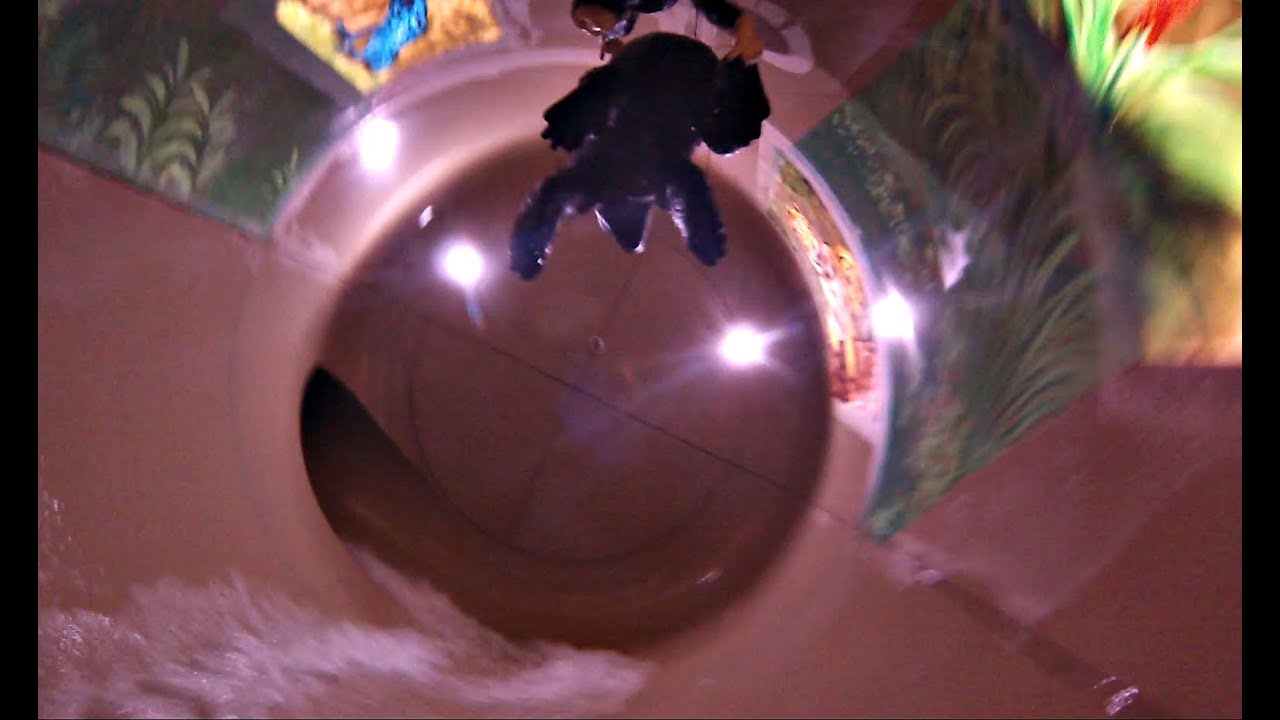 Jungle Cone (Onride) Video - H2O Herford 2015