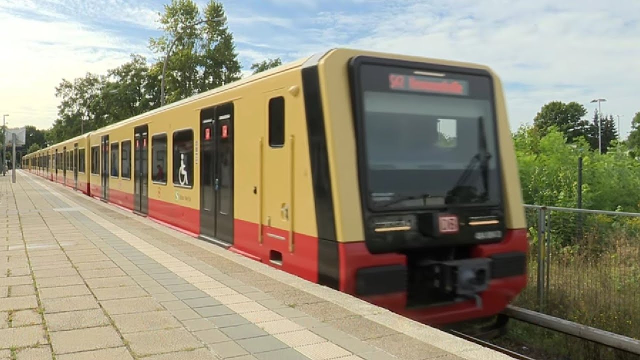 Die Berliner S-Bahn: die Baureihen 484/483, 481, 480 u. 485