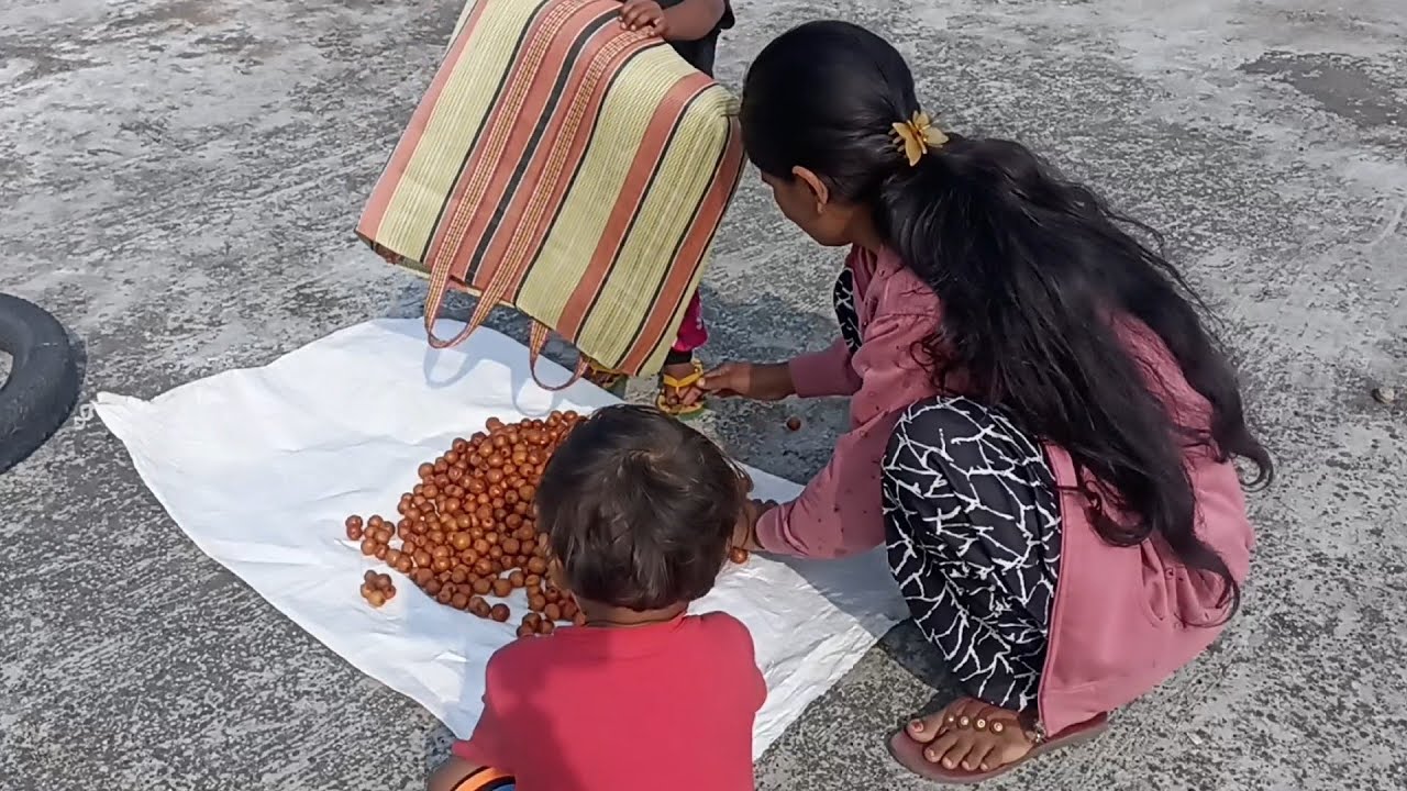 दिदु आणि भैया ची मजा. शेतातून आणले खूप सारे बोर