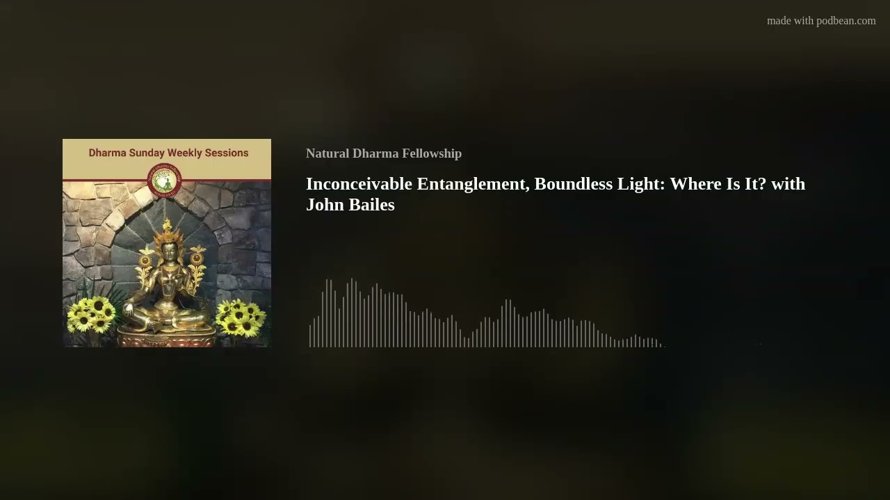 Inconceivable Entanglement, Boundless Light: Where Is It? with John Bailes