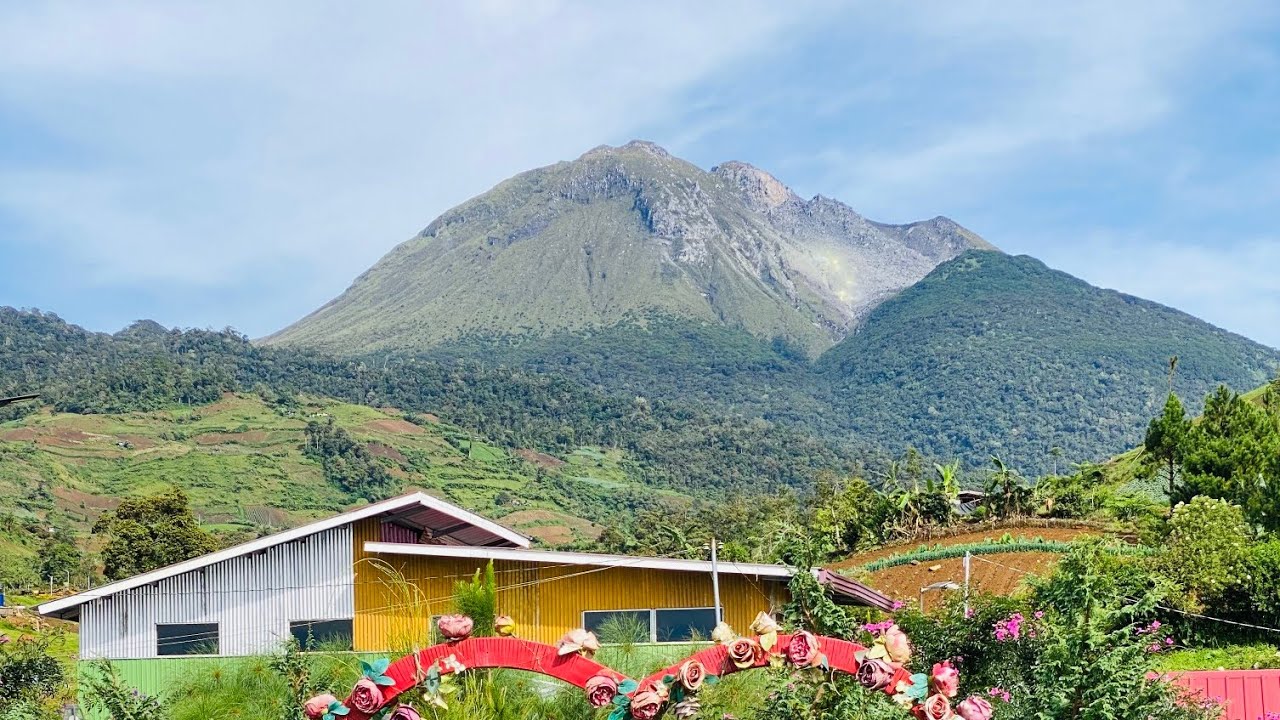Mount Apo - Kapatagan Digos Davao Del Sur @ Apo Flower Garden Mountain Resort & Coffee Shop