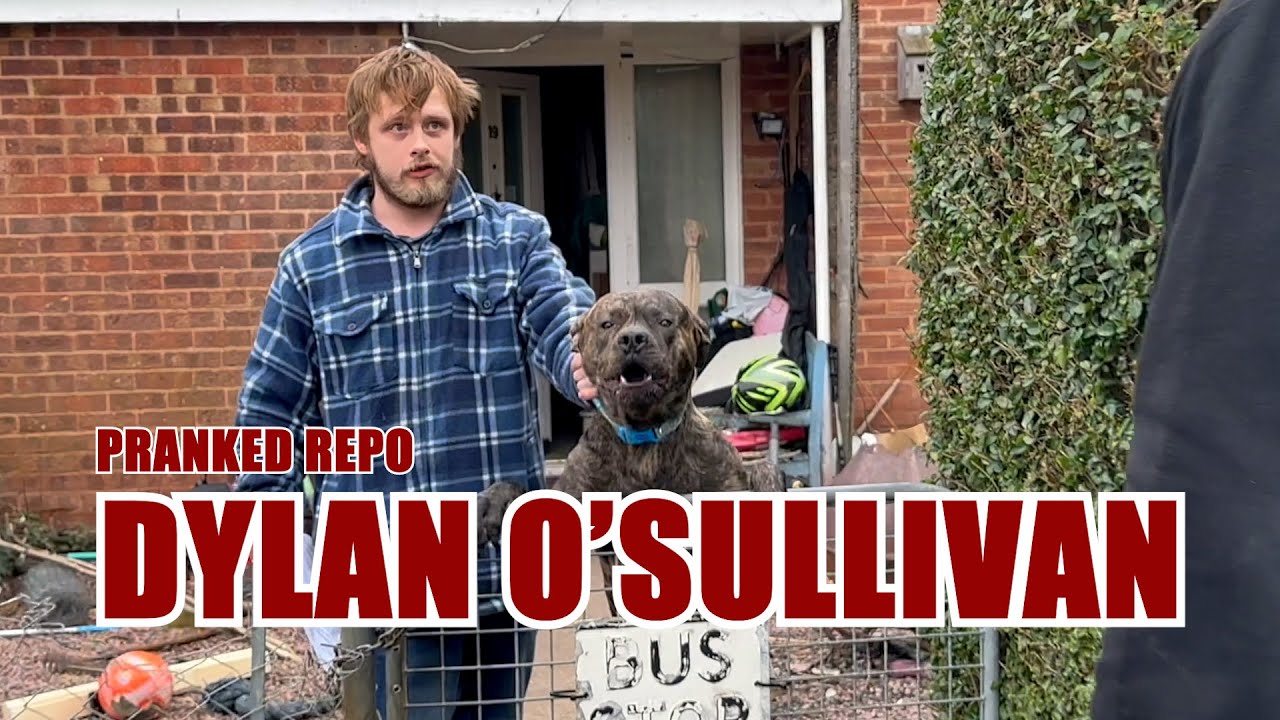 Разыгрываемое репо - Dylan O'Sullivan