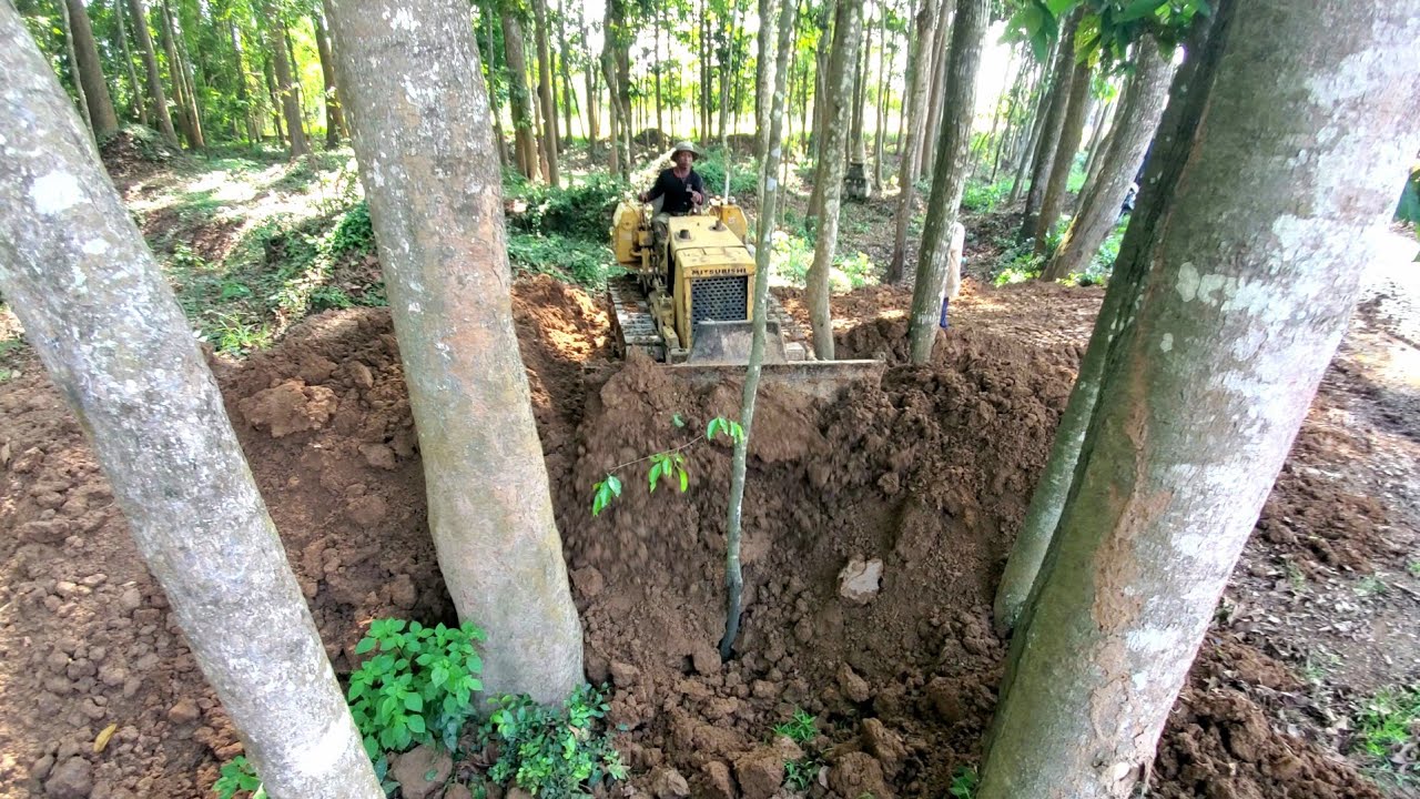 Never Seen! Powerful Heavy Bulldozer Cutting Rock Soil On Steep Mountain Forest 