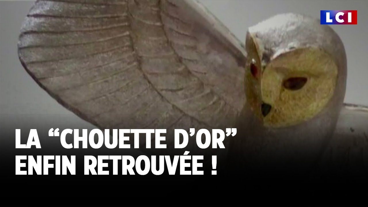Chouette d'or : 31 ans après, elle a été trouvée !