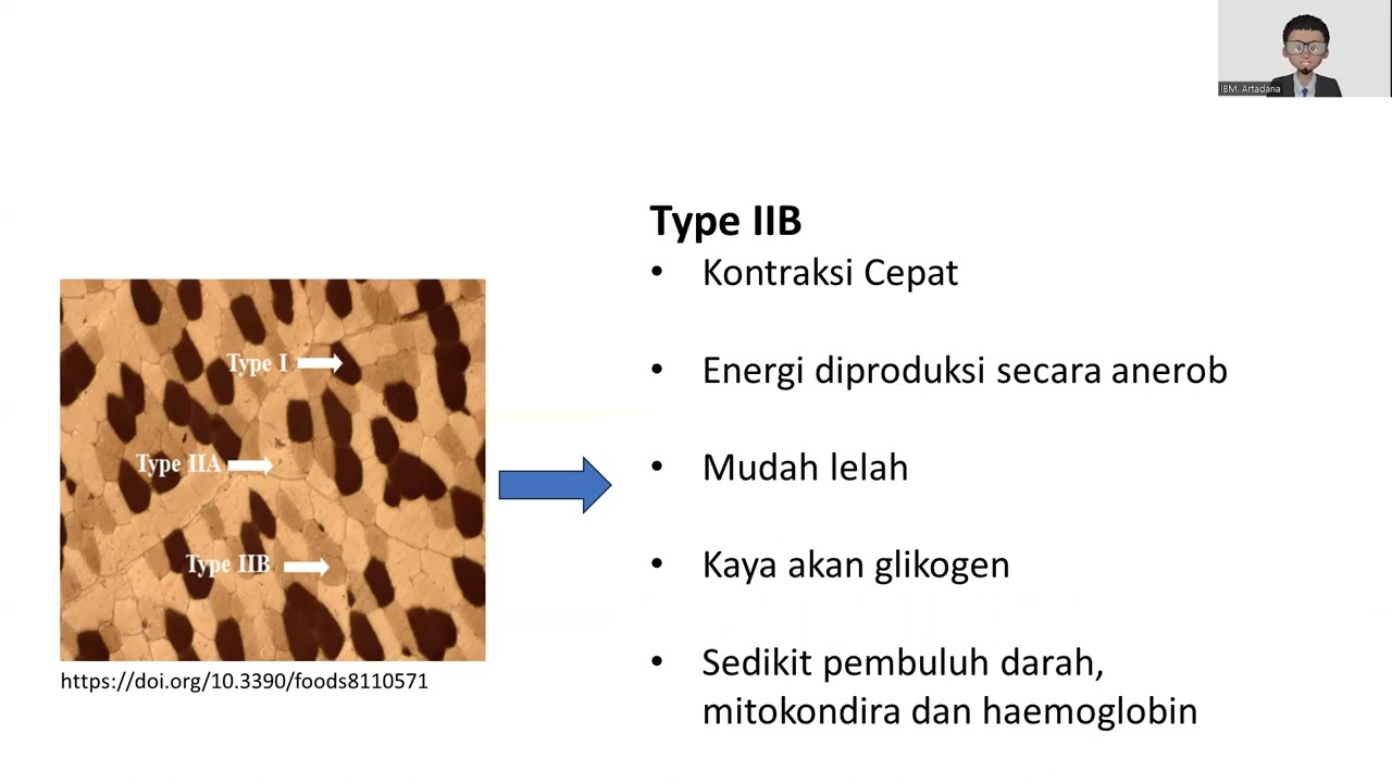 Serabut otot (muscle fiber) dan atletik