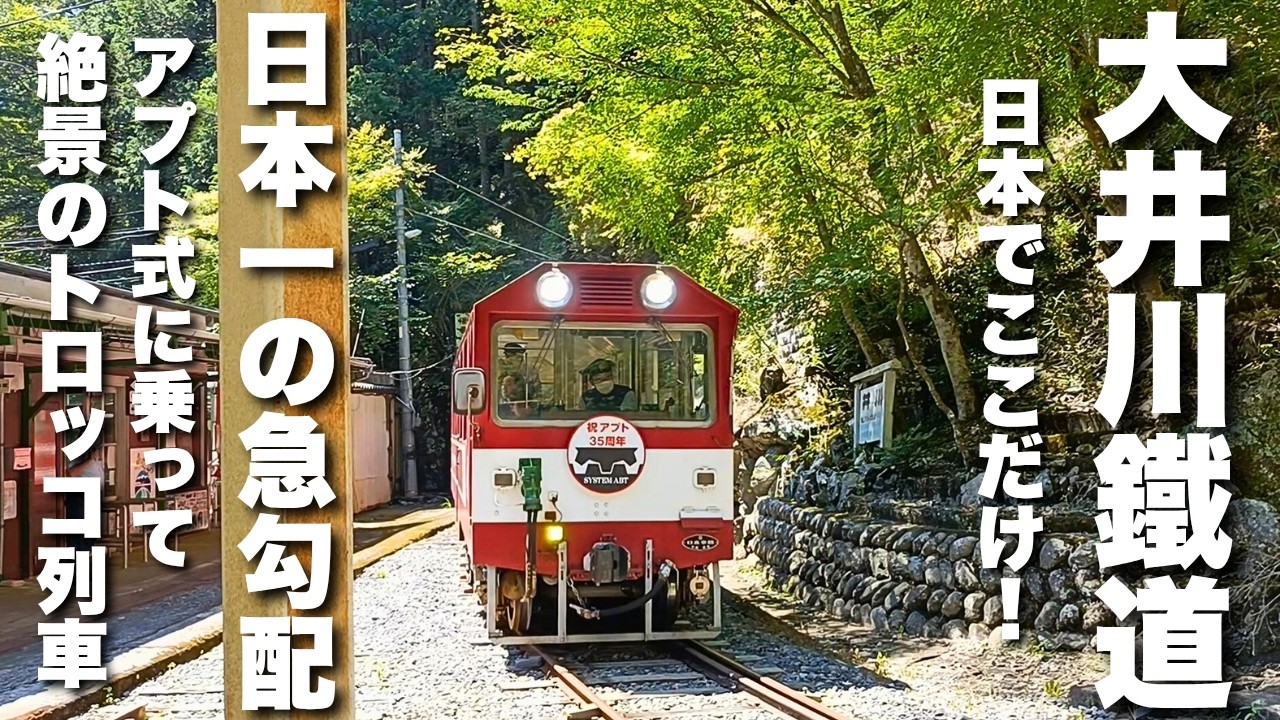 【鉄道旅】大井川鐡道のトロッコ観光列車に乗ったら最高だった