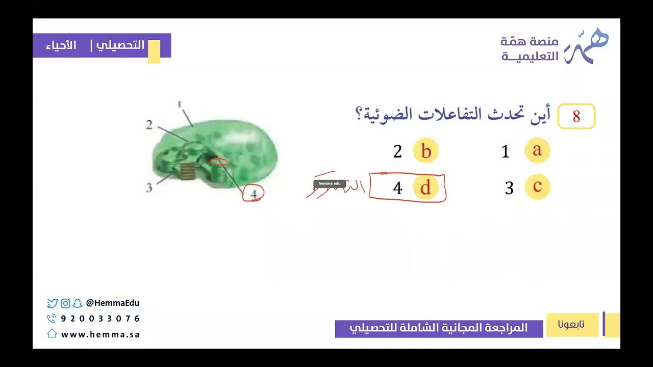 مراجعة التحصيلي 1443   أحياء