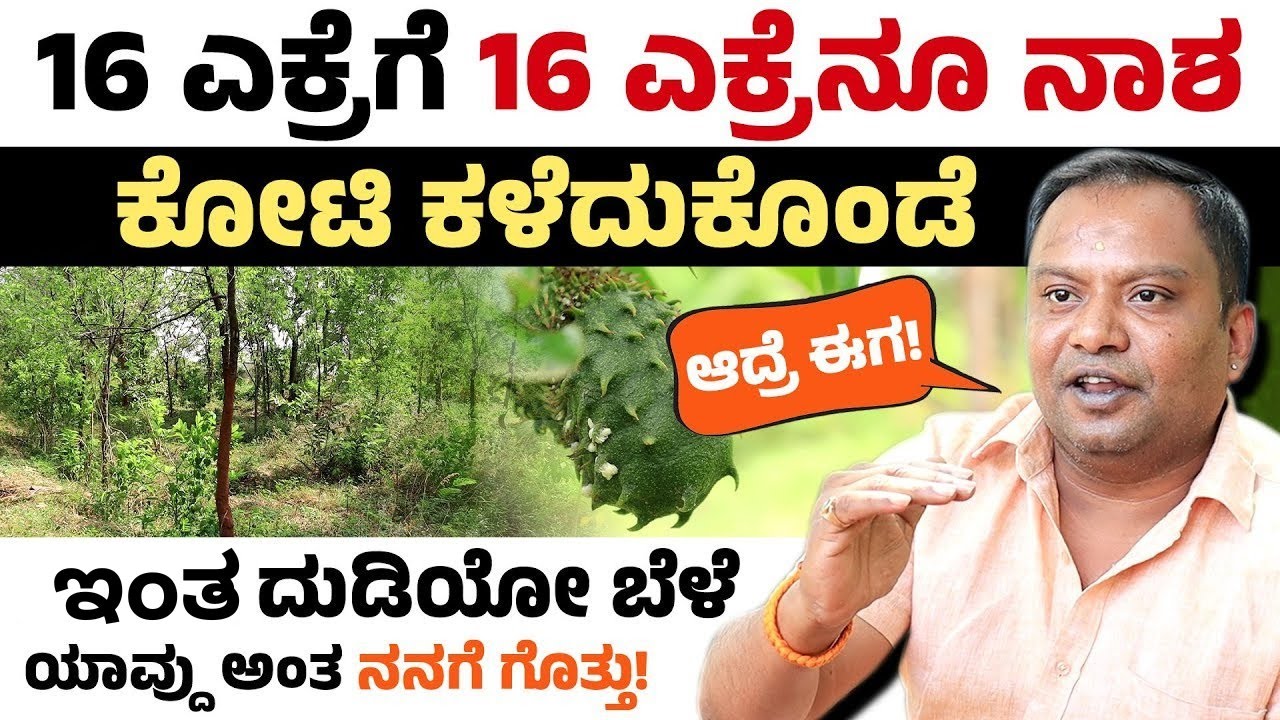 5 ಲೇಯರ್ ಕೃಷಿ ವಿಧಾನ - ರೈತನ ಯಶಸ್ಸಿನ ರಹಸ್ಯ! Five Layer Farming Success Tips 2025 | Integrated Farming