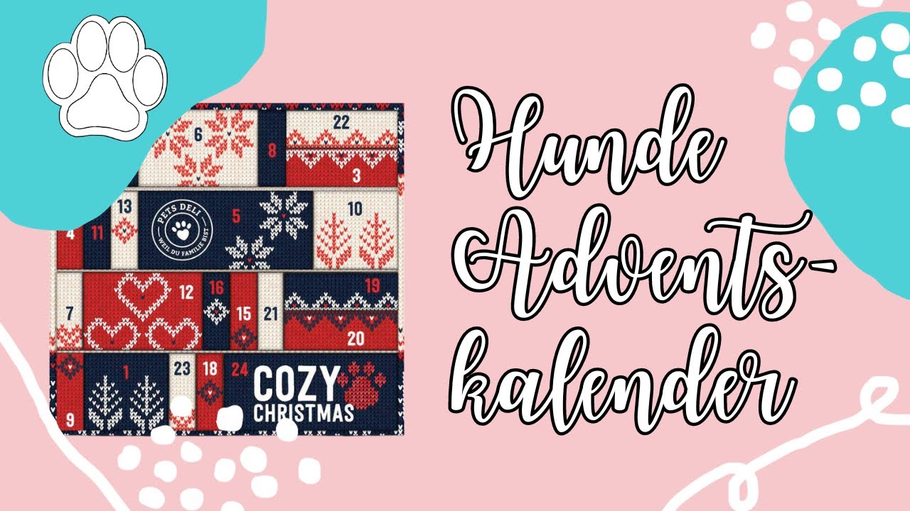 Hunde Adventskalender von Pets Deli 2021