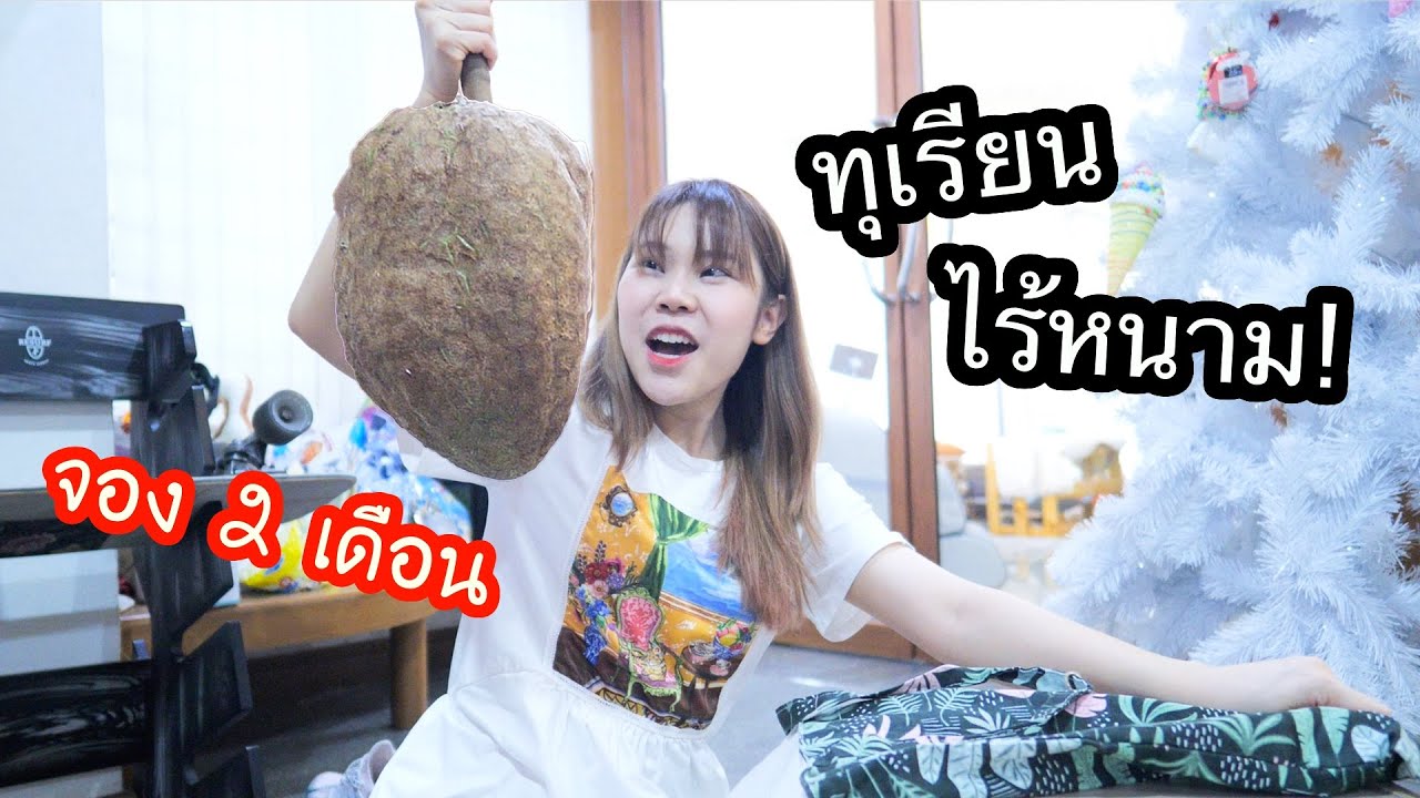 ทุเรียนไร้หนาม ปอกได้ด้วยคัตเตอร์ ! (สั่งจอง 2 เดือน)