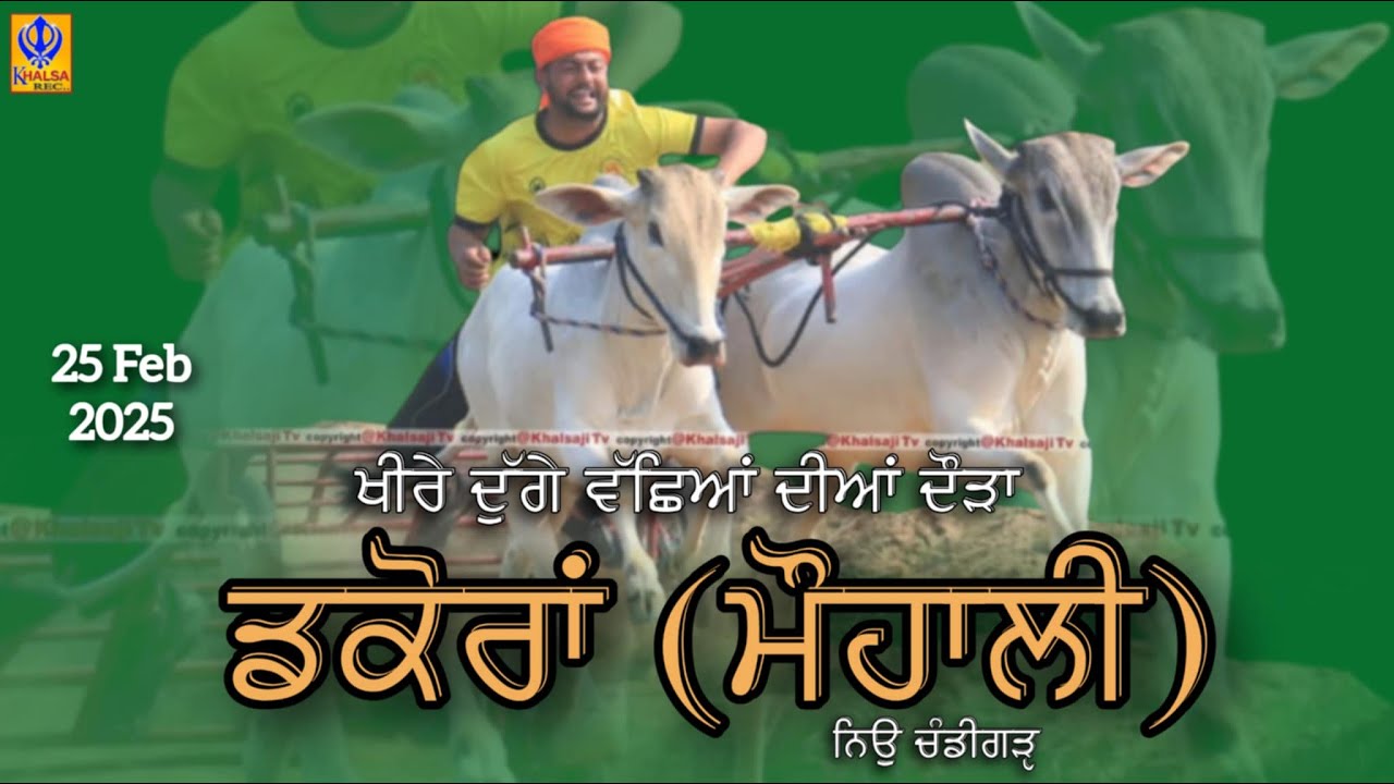 🔴[Live] Dhankoran | Mohali | ਬੈਲ ਗੱਡੀਆਂ ਦੀਆਂ ਦੌੜਾਂ | Ox Races | 25 Feb 2024 | Khalsaji Tv