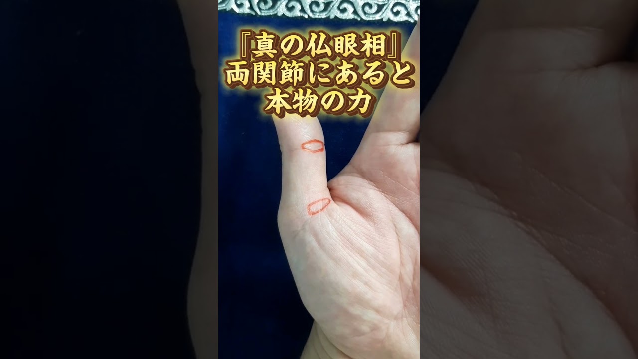 【手相】『真の仏眼相』両関節にあると本物の力 #手相 #手相鑑定 #手相占い #仏眼相