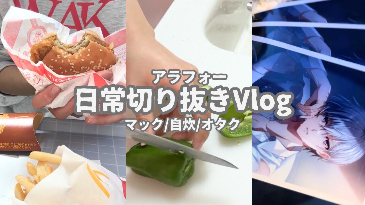 【Vlog】アラフォーオタクの日常切り取り🍚🏪
