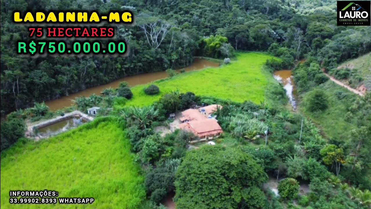 ✨️VENDO 15 ALQUEIRES REGIÃO POTE-MG VÍDEO ATUALIZADO COM DRONE✨️