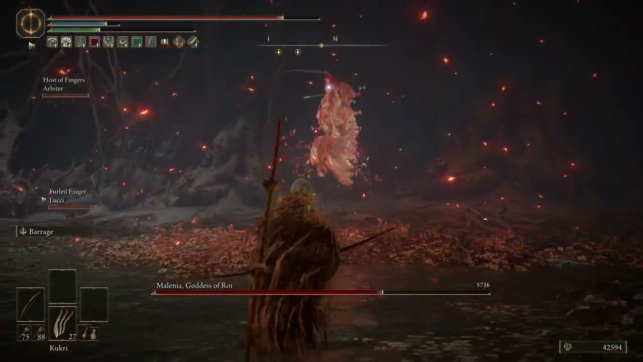 ELDEN RING™ good but unsuccessful co-op 