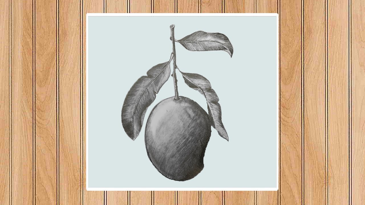 Drawing a Mango Step by Step with Pencil Sketch ( very easy) | 123 Drawing Academy