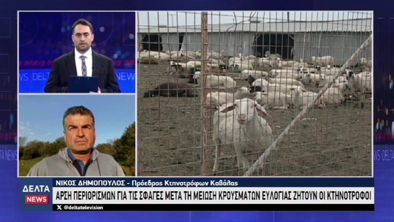 Άρση περιορισμών για σφαγές μετά την μείωση κρουσμάτων ευλογιάς ζητούν οι κτηνοτρόφοι | 15.03.2026