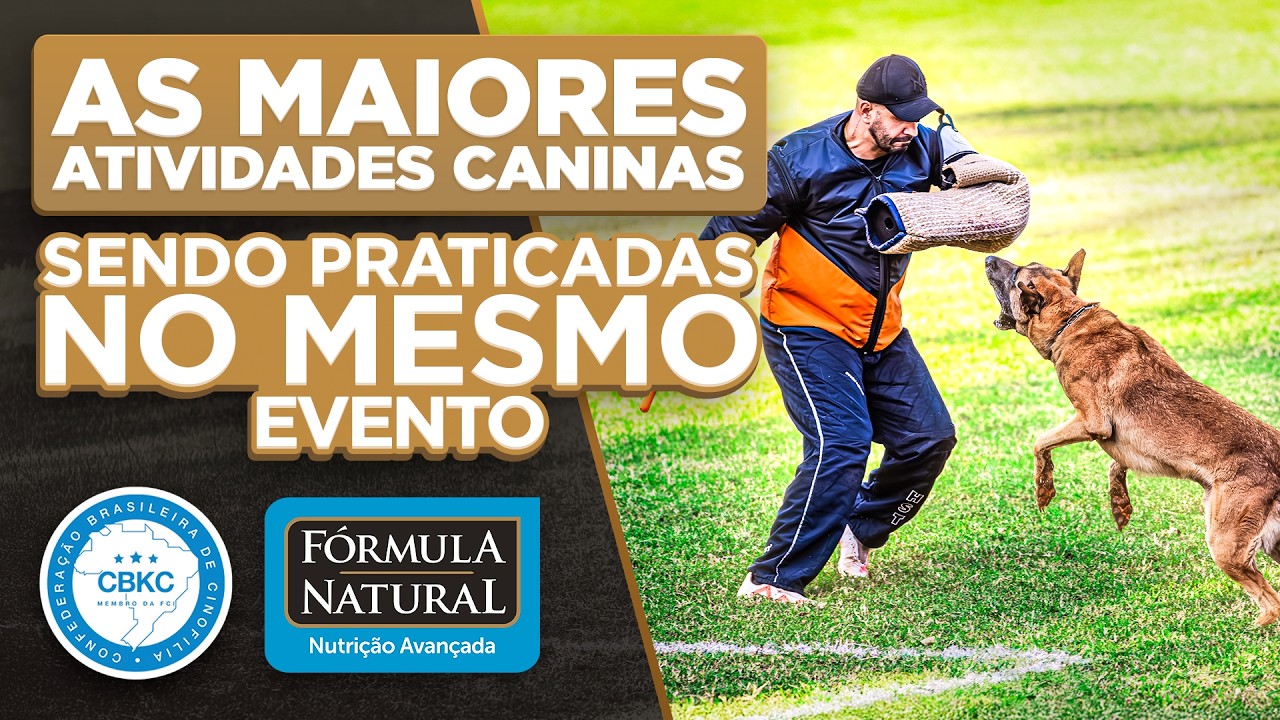 Olimpíadas CBKC 2025: O Maior Evento de Esportes Caninos do Brasil | Cinofilia Digital