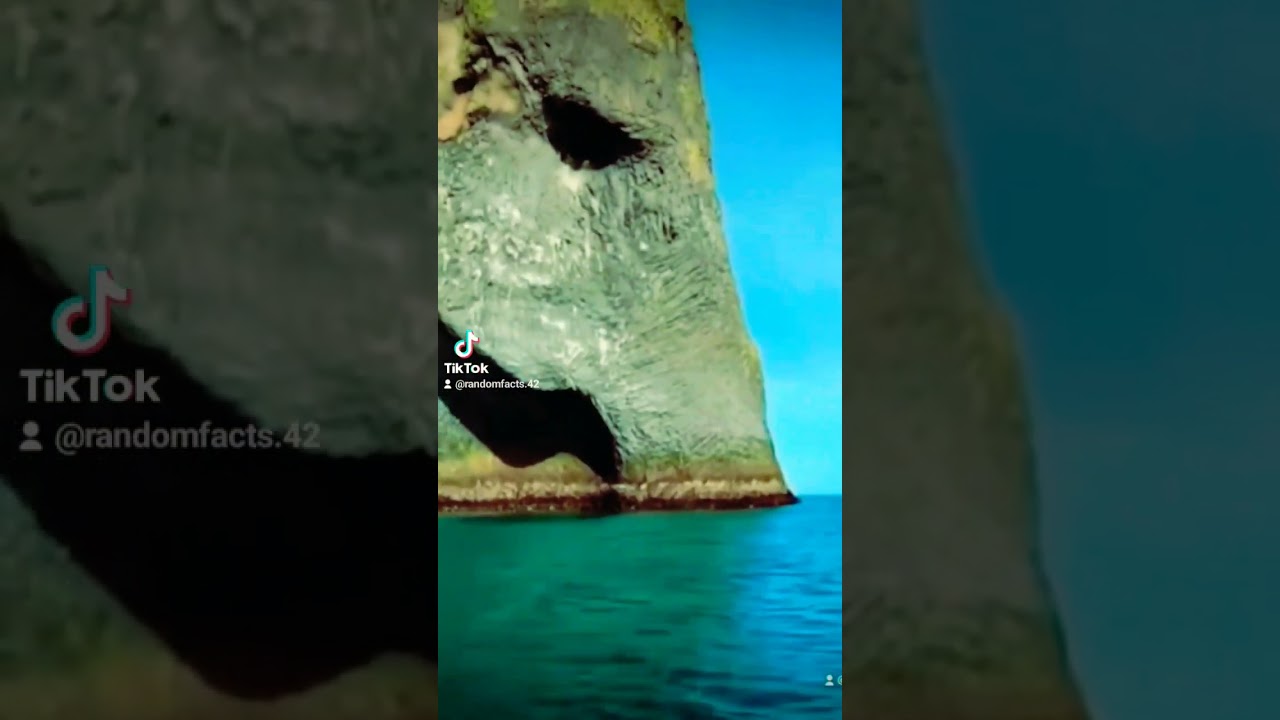people are freaking out about the hidden elephant in this Island #shorts