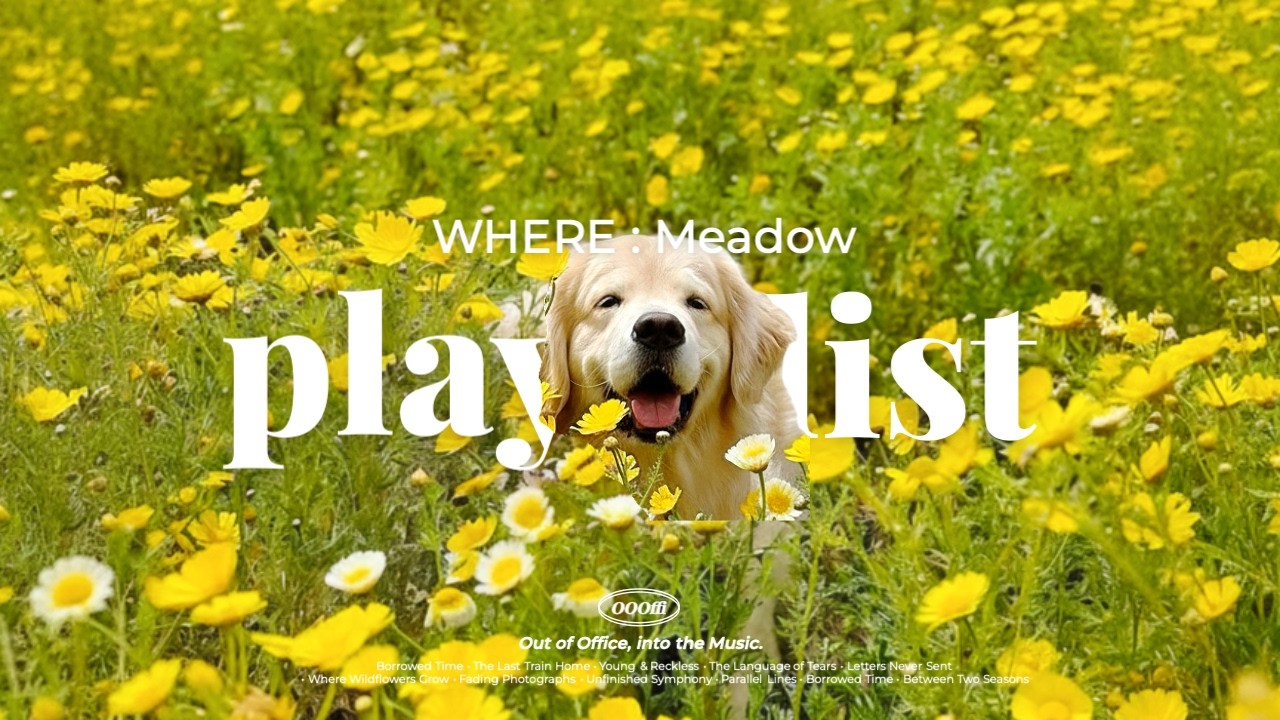 [playlist] Поп-песни для весенней прогулки 🌼 Популярный весенний плейлист 🎧 лоу-фай музыка для кафе