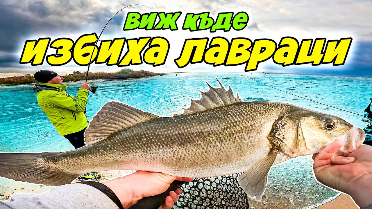 СМАЗВАЩ РИБОЛОВ на ЛАВРАК на УСТИЕТО НА РЕКА СТРУМА. Морски риболов в Гърция.