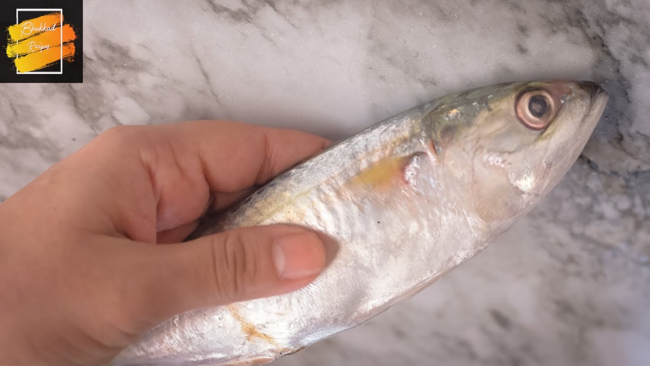 How to cut clean de-bone fillet gut Indian mackerel fish for masala fry Bangda Bangude Ayla बांगडा