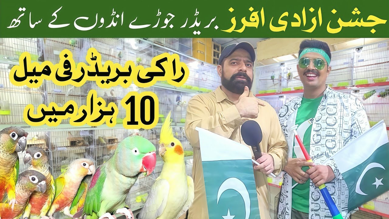 Sonu birds aviary | Jashan e Azaadi offers 