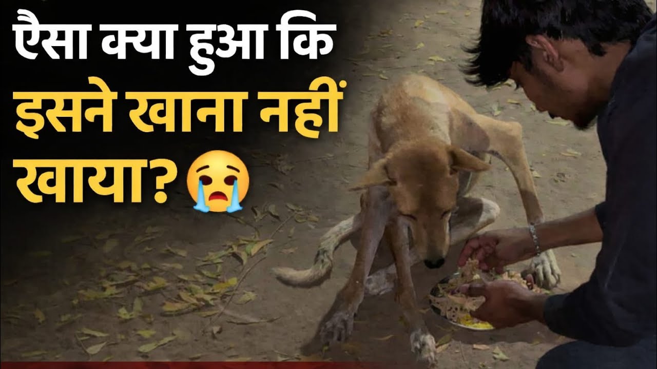Aesa kayh huaa ki khana nhi khaya 🤔😔