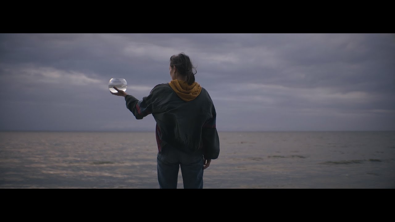 Monika Bubniak - DNO (video)