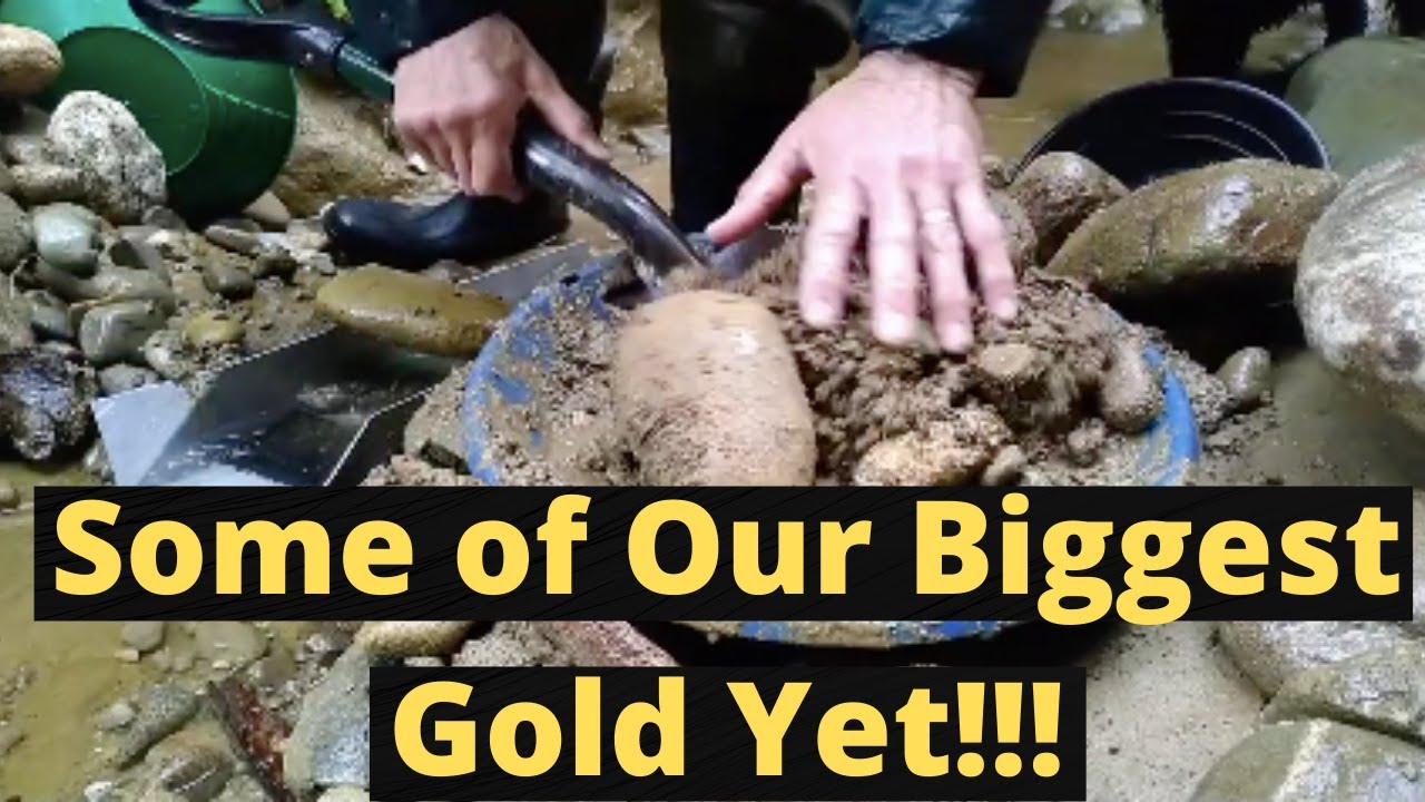 Huge Gold Pickers! Gold Prospecting in New Zealand!