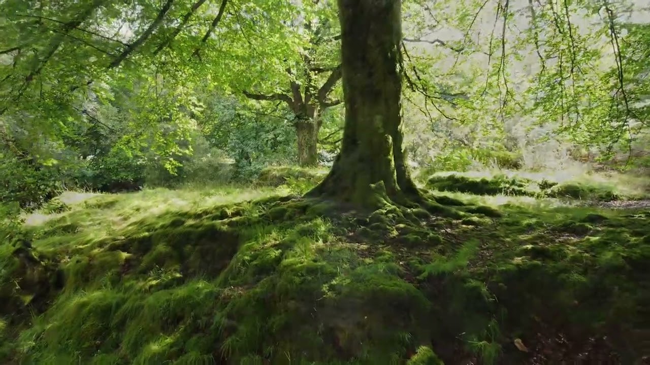 River cottage Wales