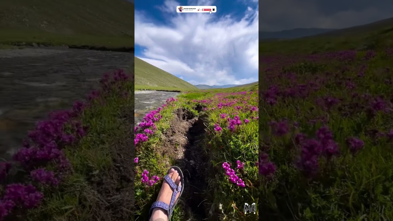 Deosai National Park | Heaven on Earth