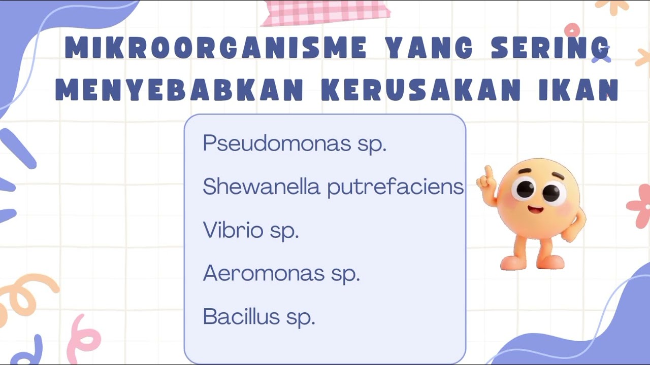 Teknologi Pengawetan ( KERUSAKAN IKAN SEGAR ) 