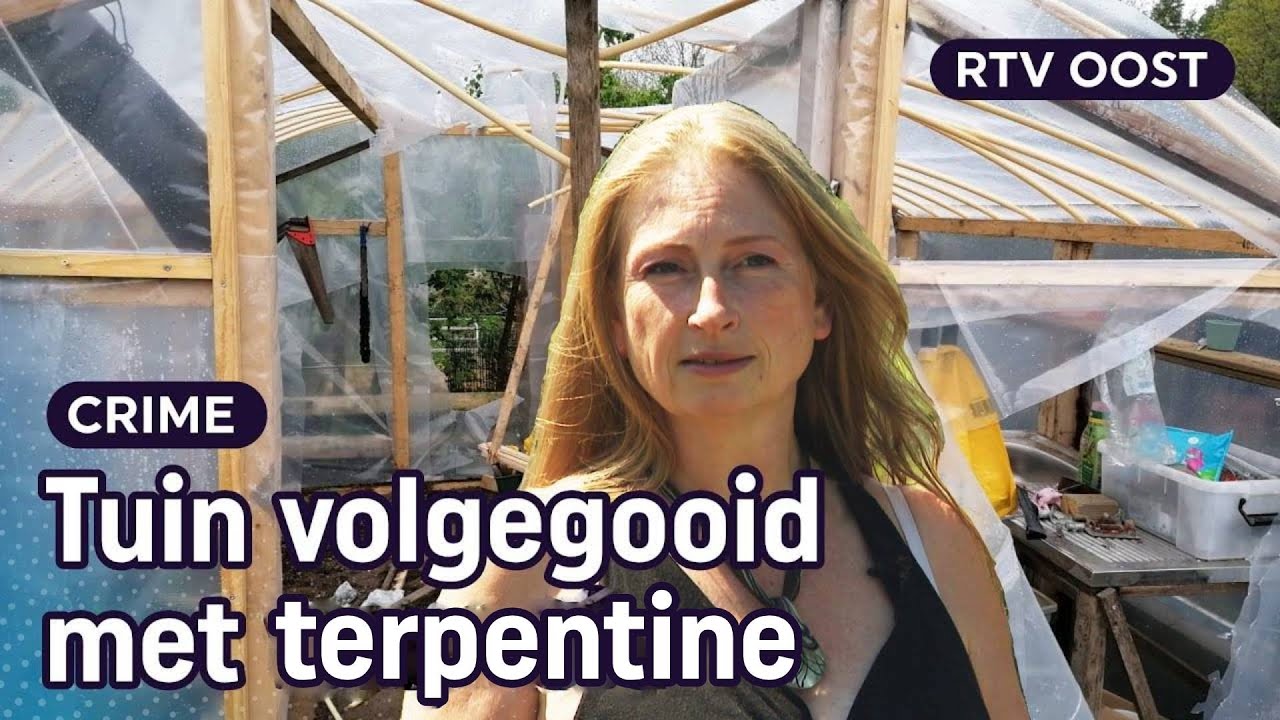 Grote ravage in 80 volkstuinen: vandalen slopen de boel | RTV Oost