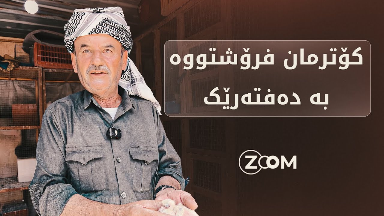 نرخی کۆتر دەفتەریێک دۆلاری تێپەڕاندووە.. کۆتر بەخێوکردن لەنێوان حەز و پیشەدا