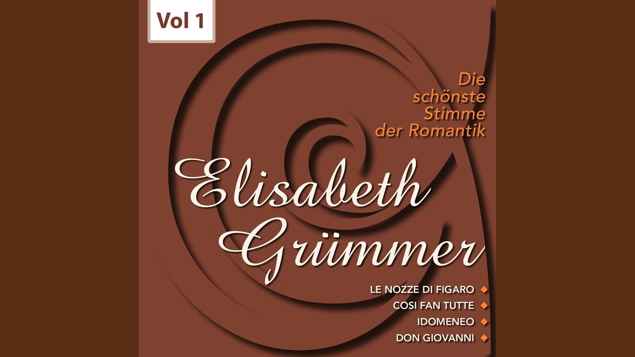 Szene für Sopran, Violine und Orchester, K 490: Non temer, amato bene