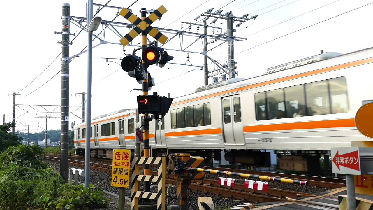 JR東海 大谷川踏切の警報音と下り普通電車 鷲津~新居町
