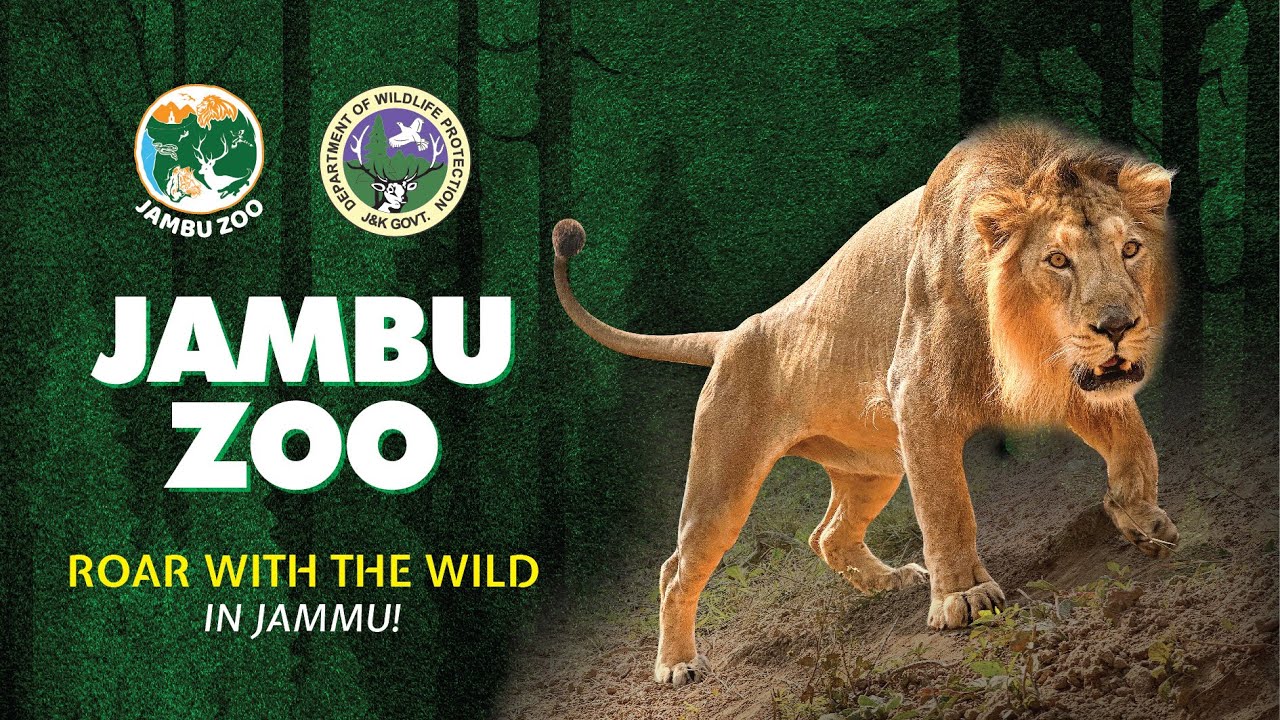 Jambu Zoo, Jammu. Official Film