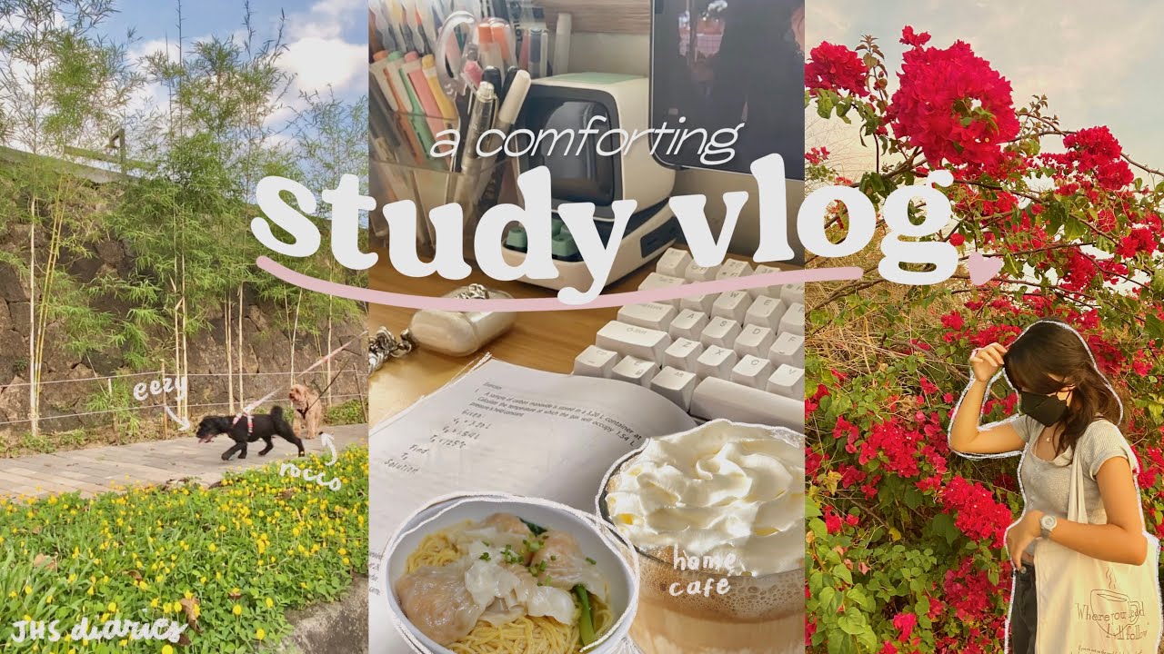 jhs diaries 🌼🐾 a comforting study vlog: studying, home café, going out, walking the dogs and more!