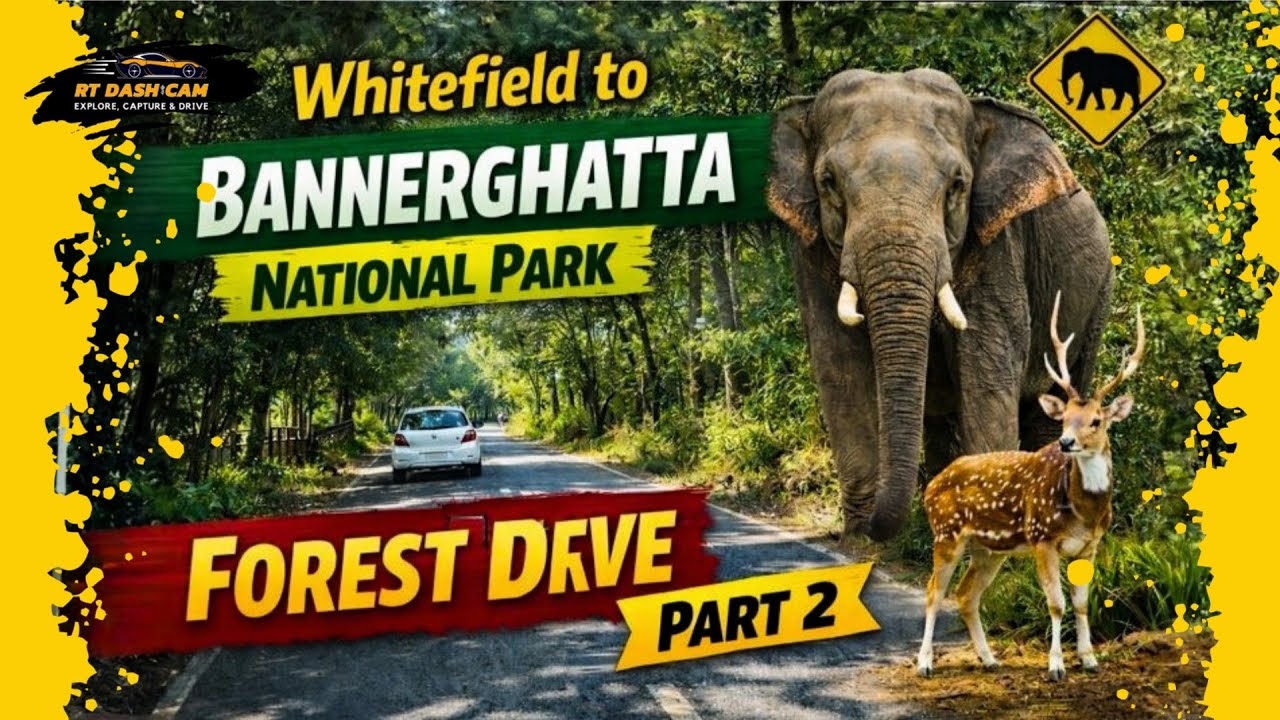 Whitefield to Bannerghatta National Park Forest Drive 🌳 | Part 2 | RT Dashcam