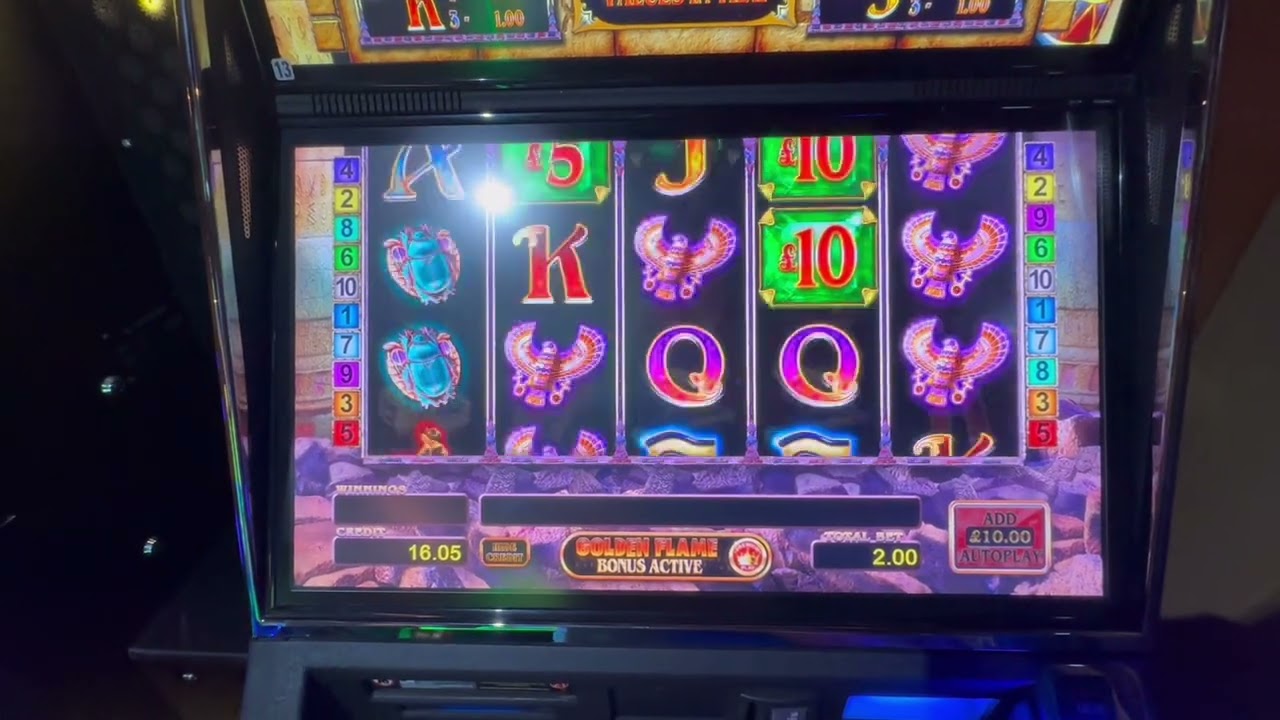 BINGO SESH. Gold fish, snow leopard, secrets of memnon, burn em up gold , Thai flower + more